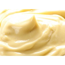 Flavor Apprentice - DX Bavarian Cream Concentrate 15ml